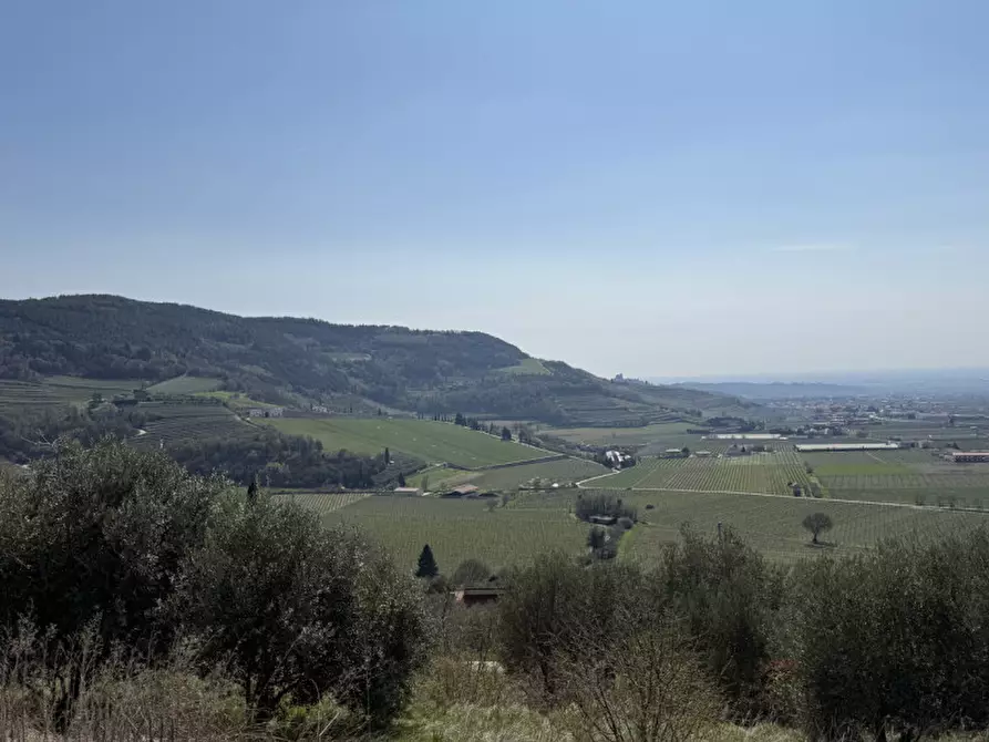 Immagine 1 di Terreno in vendita  a Tregnago