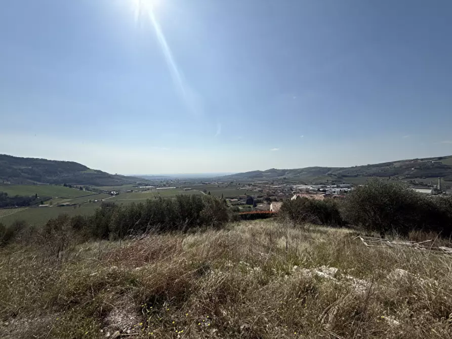 Immagine 4 di Terreno in vendita  a Tregnago