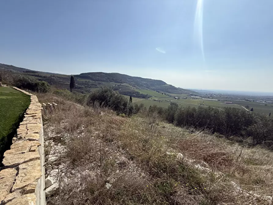 Immagine 5 di Terreno in vendita  a Tregnago