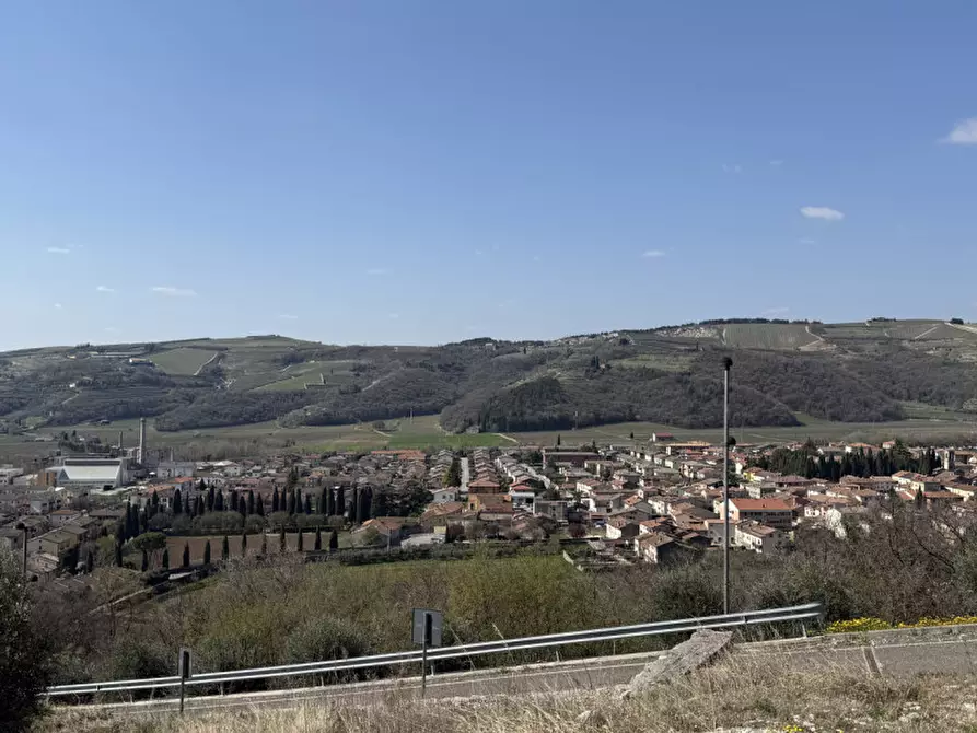 Immagine 6 di Terreno in vendita  a Tregnago