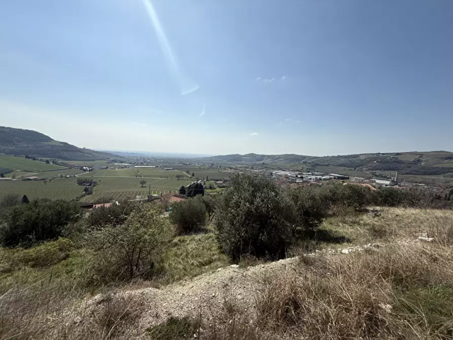Immagine 8 di Terreno in vendita  a Tregnago