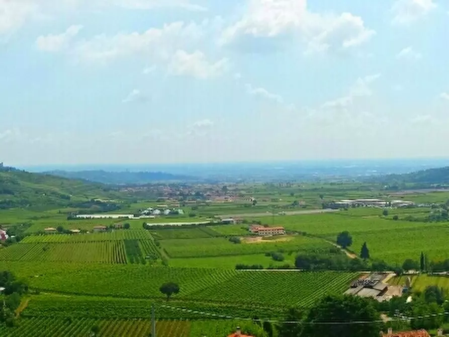 Immagine 1 di Terreno in vendita  a Tregnago