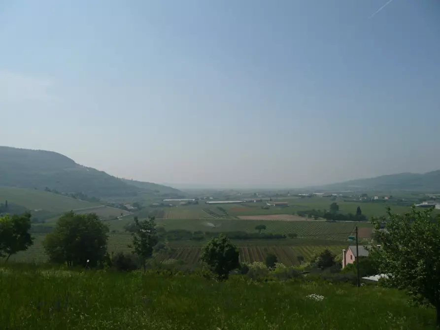 Immagine 2 di Terreno in vendita  a Tregnago