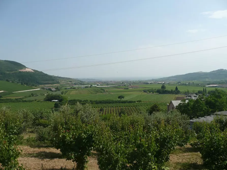 Immagine 4 di Terreno in vendita  a Tregnago
