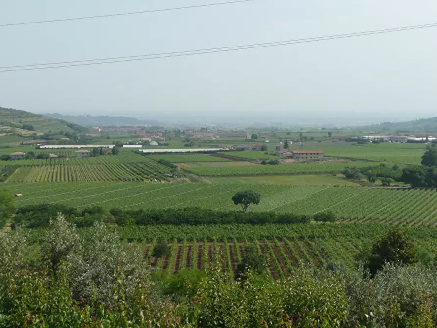 Immagine 5 di Terreno in vendita  a Tregnago
