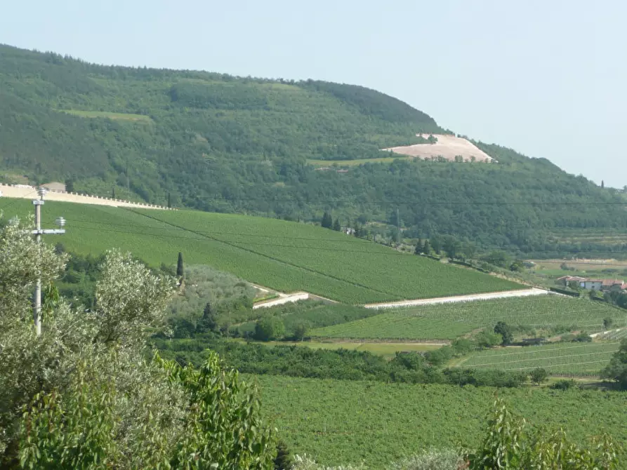 Immagine 6 di Terreno in vendita  a Tregnago