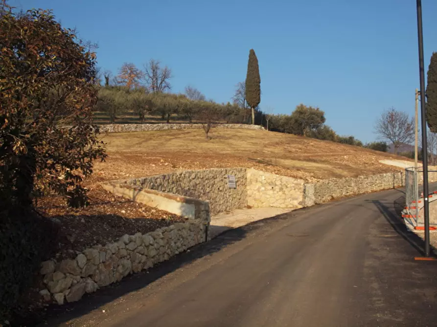 Immagine 8 di Terreno in vendita  a Tregnago