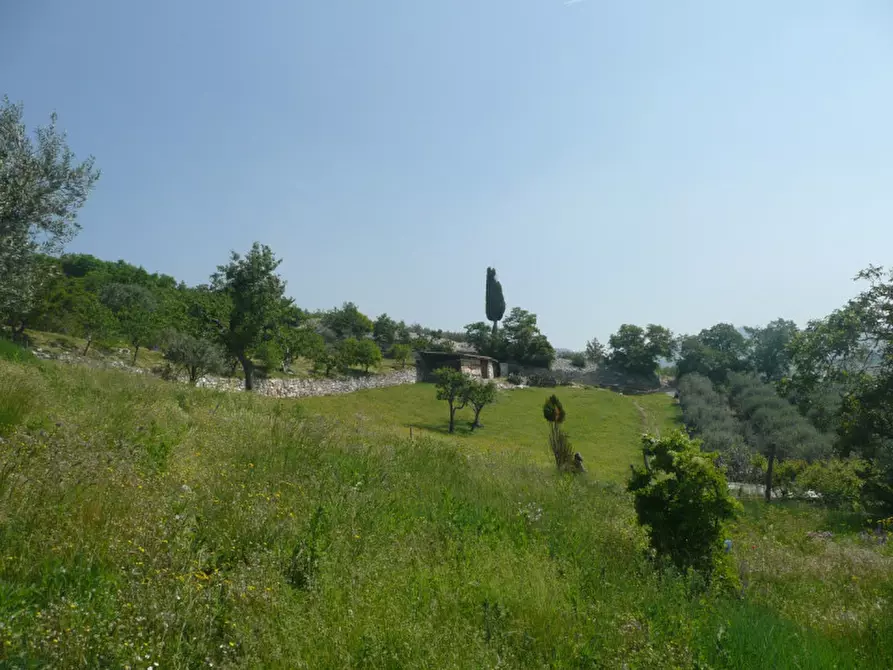 Immagine 3 di Terreno in vendita  a Tregnago