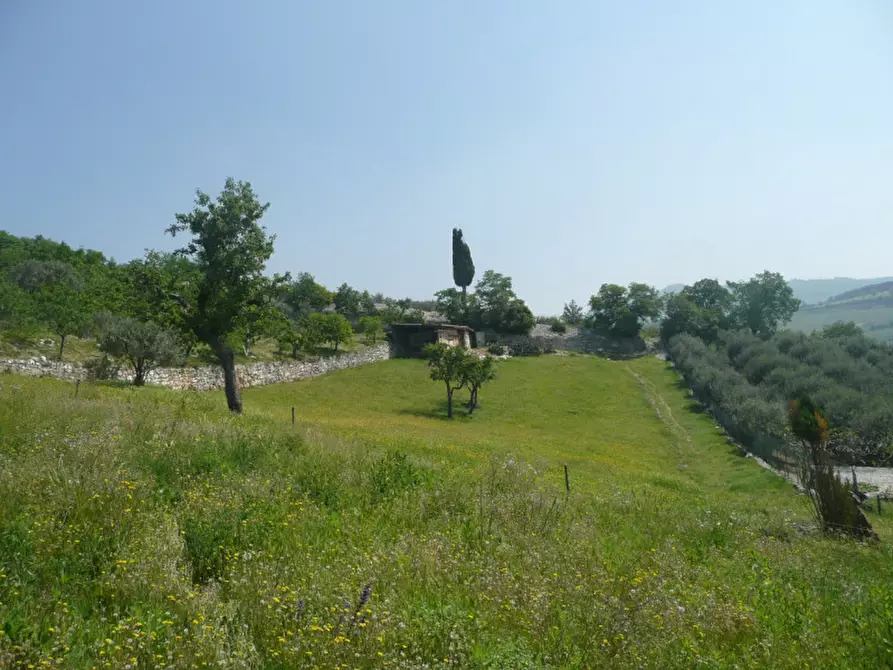 Immagine 4 di Terreno in vendita  a Tregnago