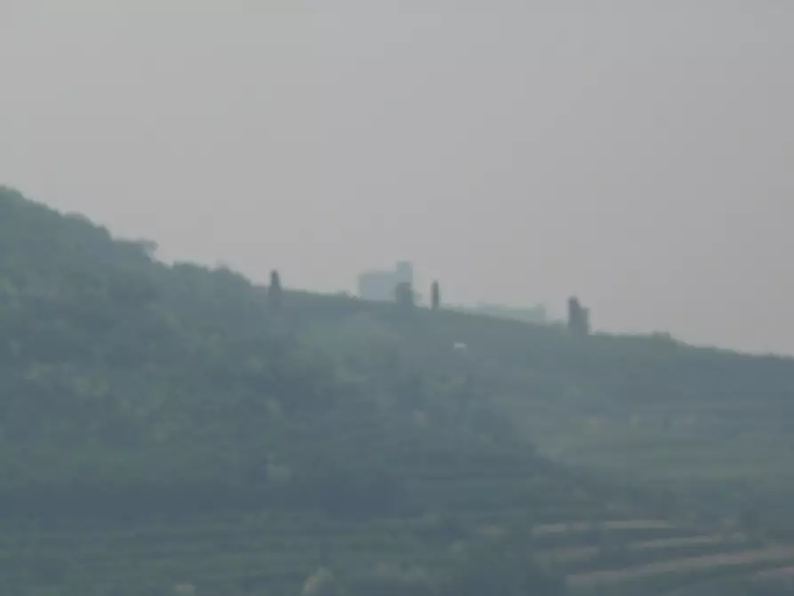 Immagine 6 di Terreno in vendita  a Tregnago