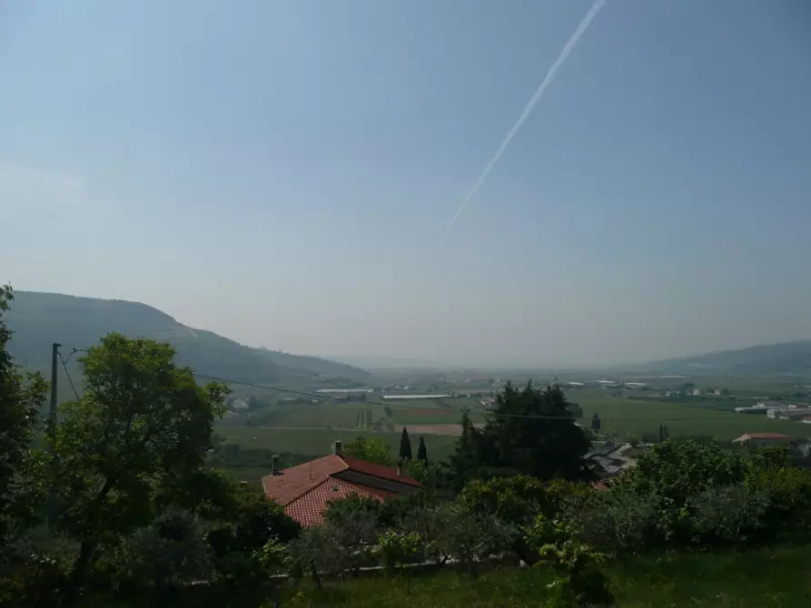 Immagine 7 di Terreno in vendita  a Tregnago