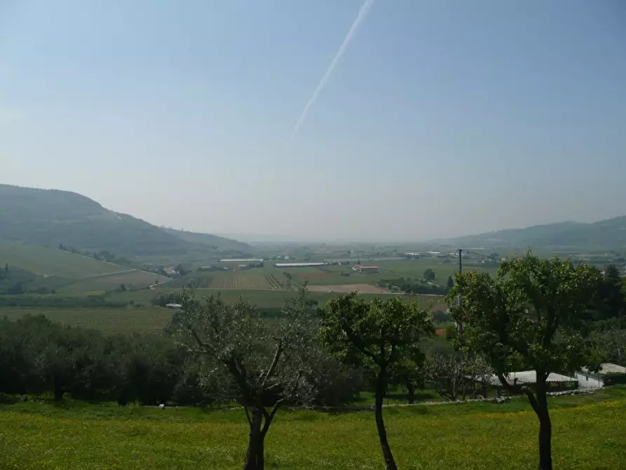 Immagine 9 di Terreno in vendita  a Tregnago