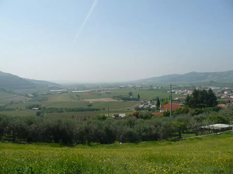 Immagine 10 di Terreno in vendita  a Tregnago