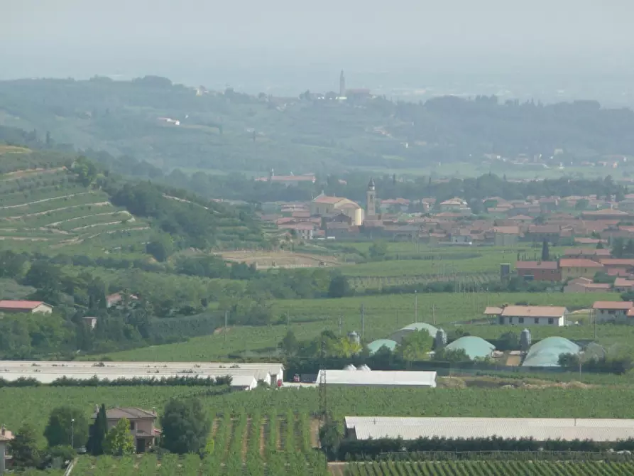 Immagine 17 di Terreno in vendita  a Tregnago