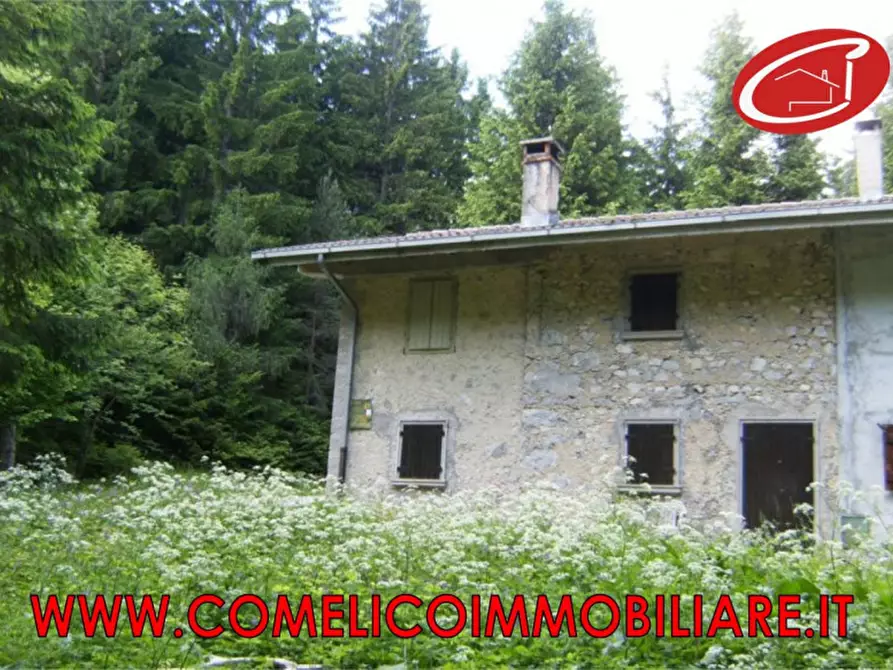 Immagine 1 di Casa bifamiliare in vendita  a Vigo Di Cadore