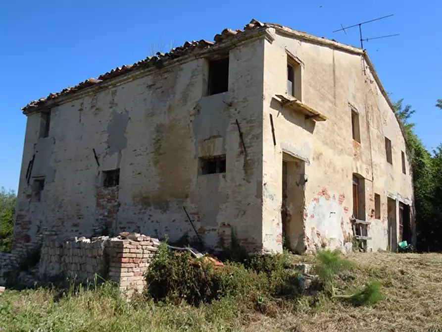 Immagine 2 di Rustico / casale in vendita  a Mondolfo