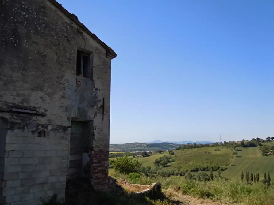 Immagine 3 di Rustico / casale in vendita  a Mondolfo