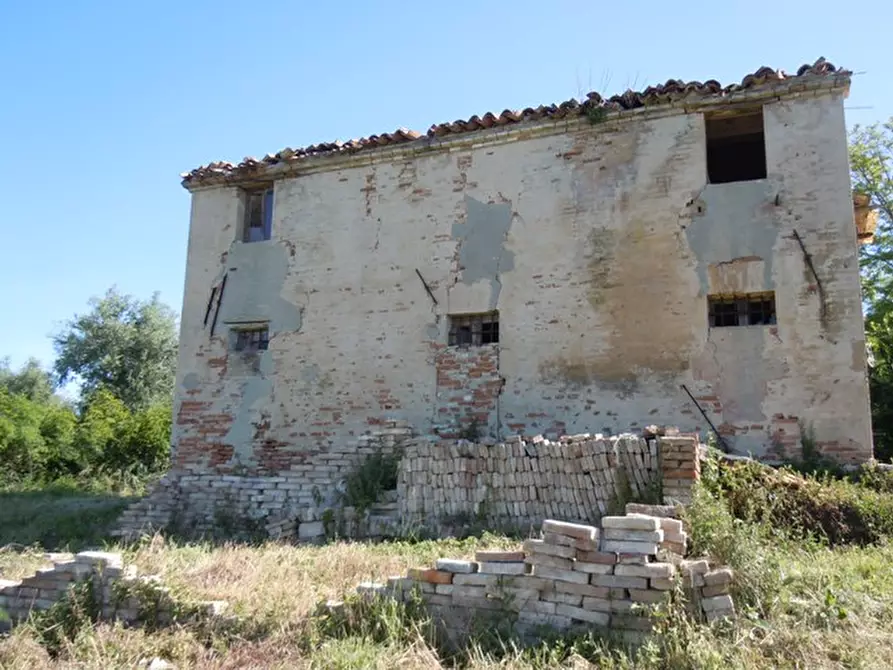 Immagine 5 di Rustico / casale in vendita  a Mondolfo