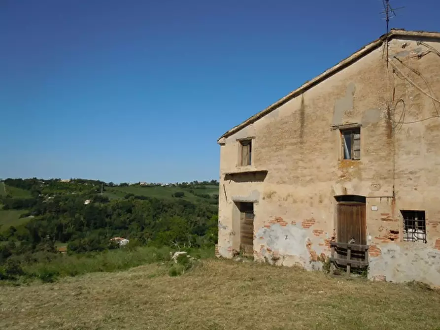 Immagine 6 di Rustico / casale in vendita  a Mondolfo