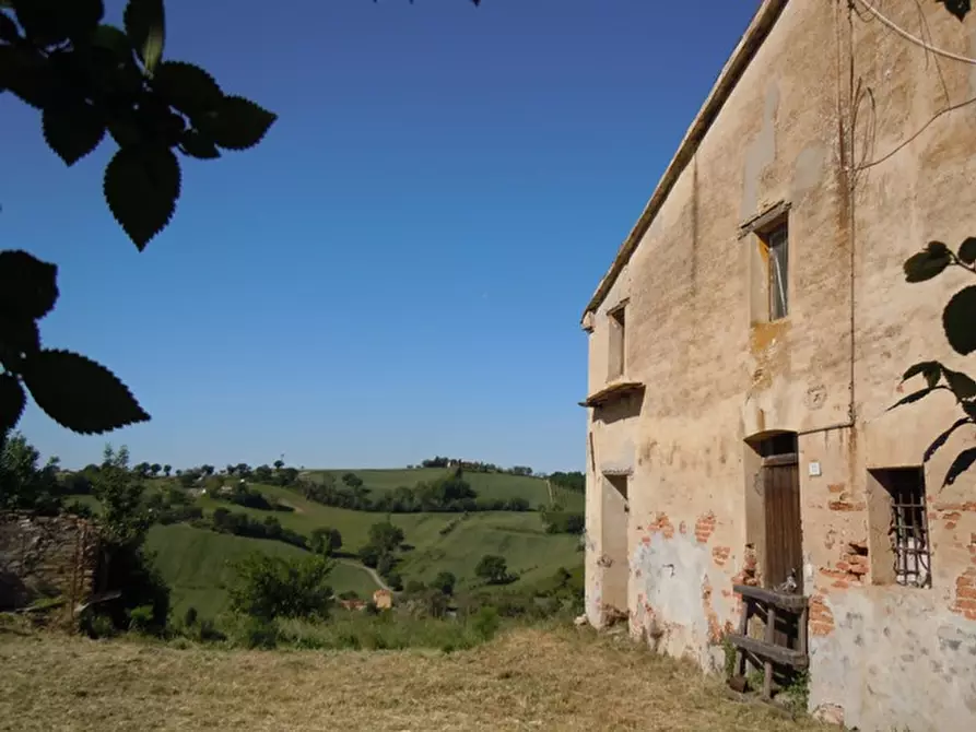 Immagine 7 di Rustico / casale in vendita  a Mondolfo