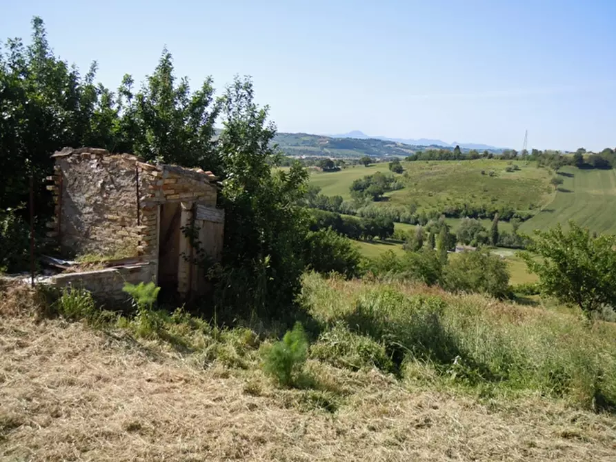 Immagine 10 di Rustico / casale in vendita  a Mondolfo