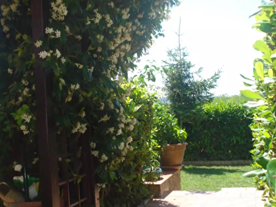 Immagine 3 di Appartamento in vendita  in Iper a Città Sant'angelo