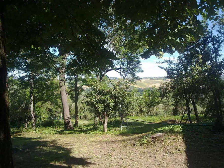 Immagine 2 di Rustico / casale in vendita  a Senigallia