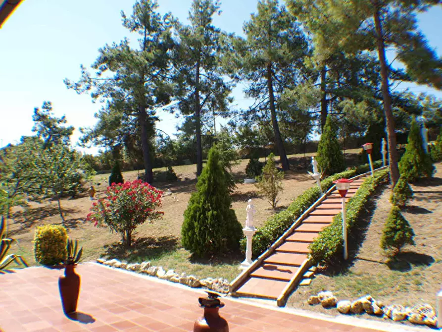 Immagine 16 di Casa indipendente in vendita  a Senigallia