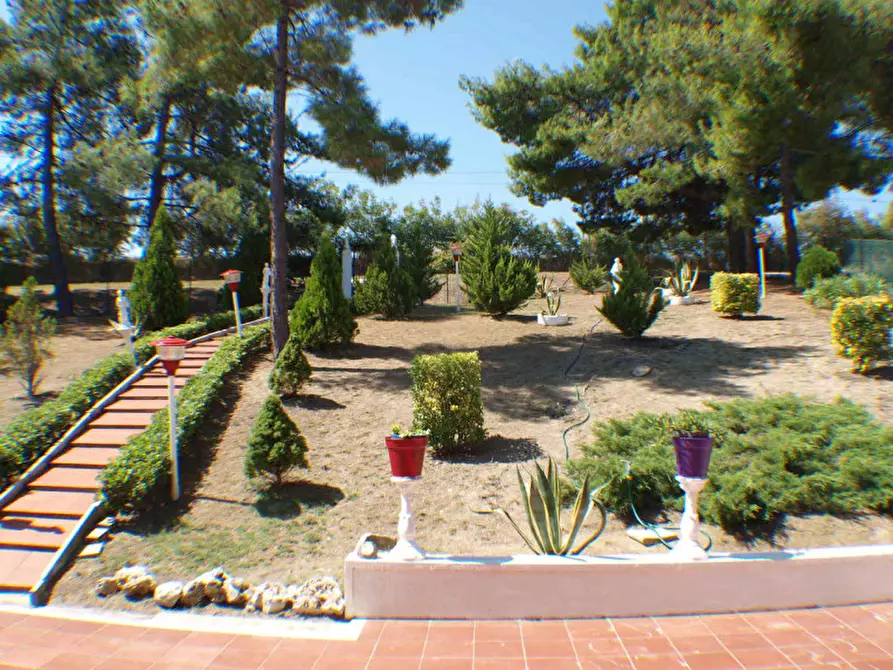 Immagine 17 di Casa indipendente in vendita  a Senigallia