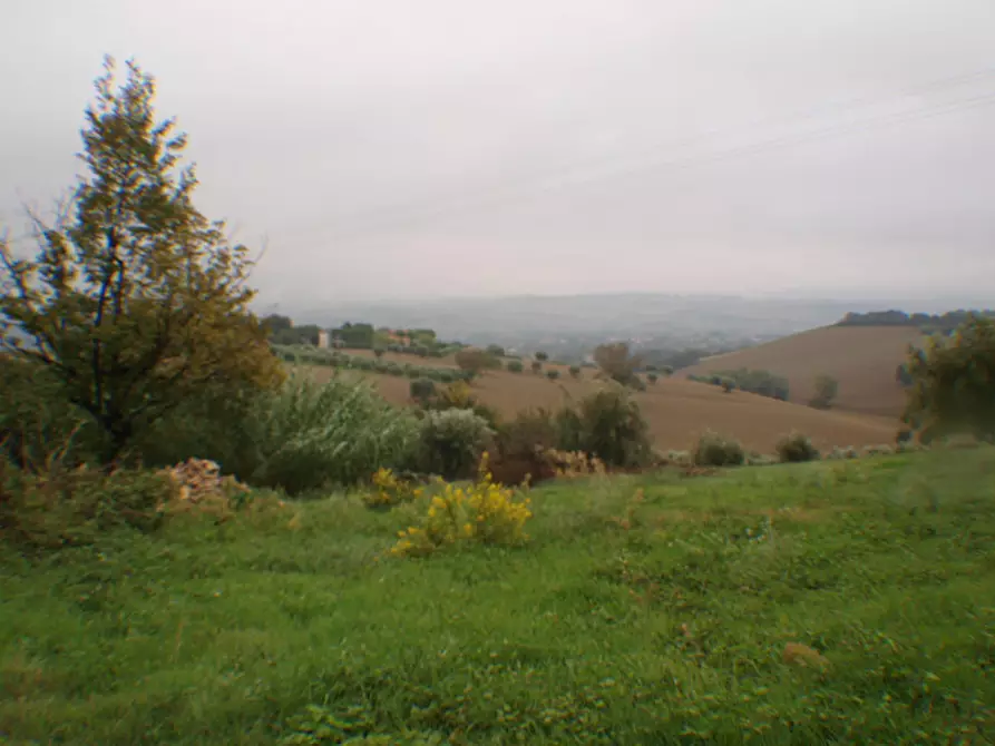 Immagine 3 di Rustico / casale in vendita  a Trecastelli