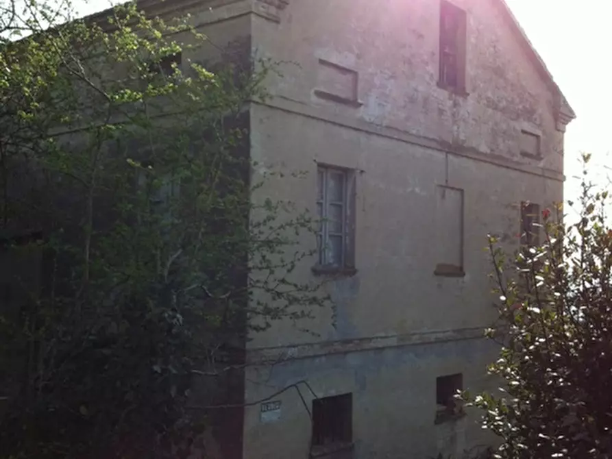 Immagine 5 di Rustico / casale in vendita  a Trecastelli