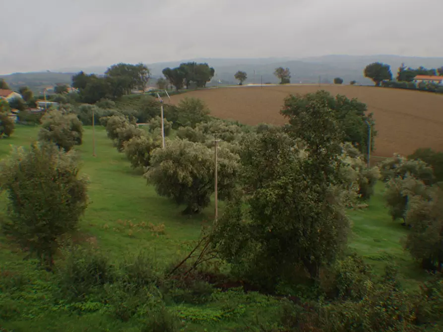 Immagine 7 di Rustico / casale in vendita  a Trecastelli