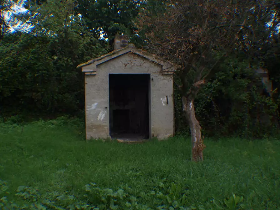 Immagine 9 di Rustico / casale in vendita  a Trecastelli