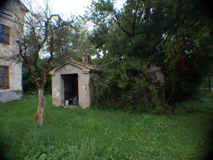 Immagine 10 di Rustico / casale in vendita  a Trecastelli