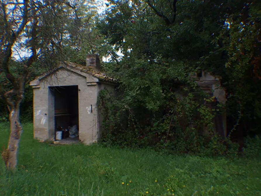 Immagine 11 di Rustico / casale in vendita  a Trecastelli