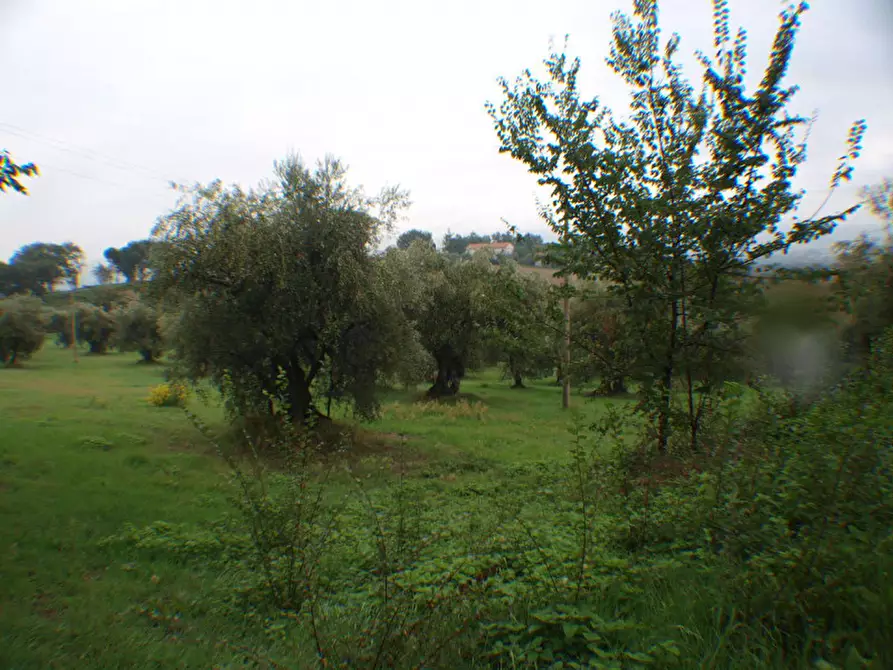 Immagine 15 di Rustico / casale in vendita  a Trecastelli