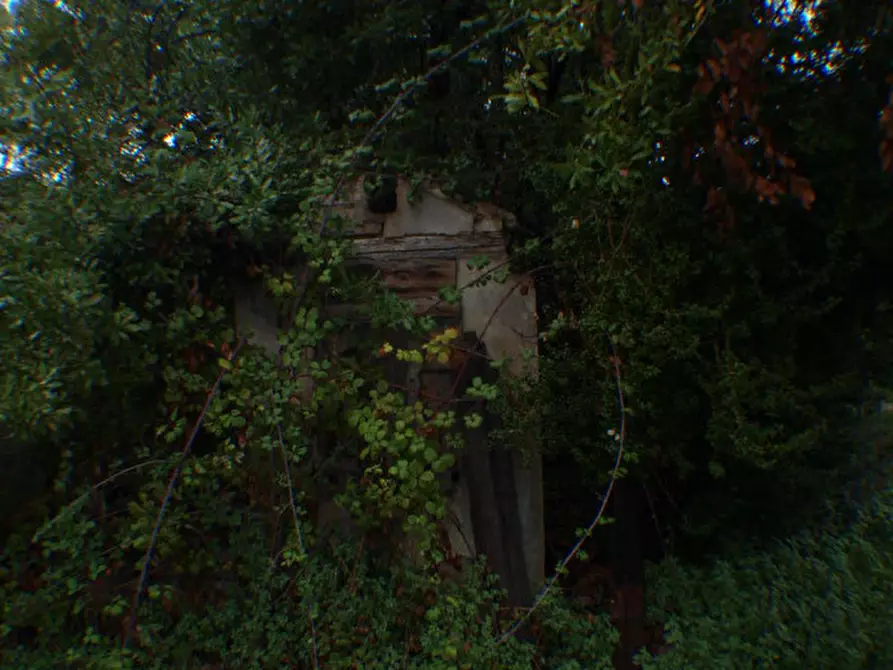 Immagine 16 di Rustico / casale in vendita  a Trecastelli