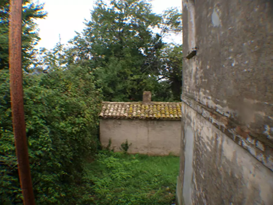 Immagine 22 di Rustico / casale in vendita  a Trecastelli