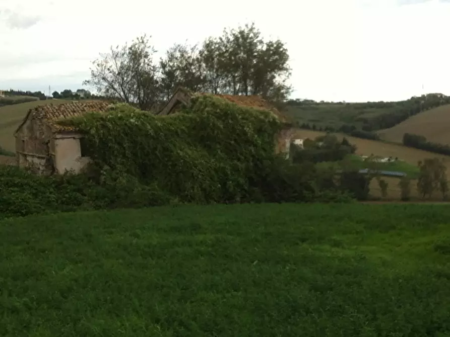 Immagine 2 di Rustico / casale in vendita  a Senigallia