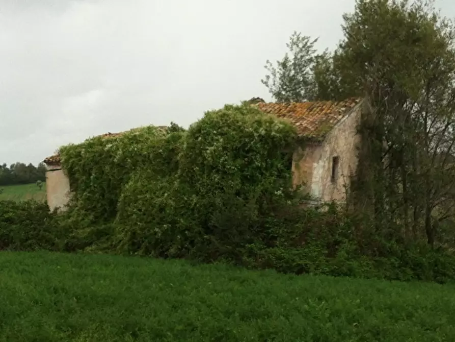 Immagine 3 di Rustico / casale in vendita  a Senigallia