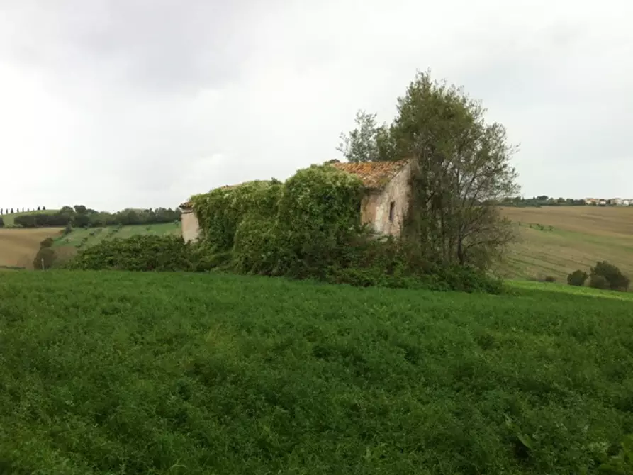 Immagine 4 di Rustico / casale in vendita  a Senigallia