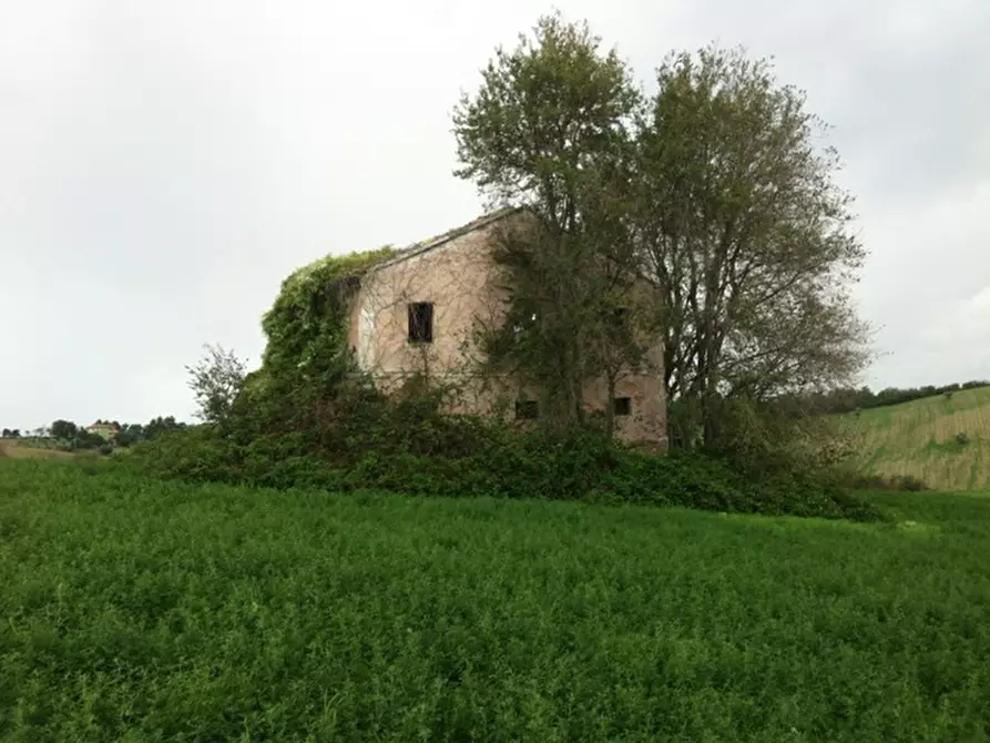 Immagine 5 di Rustico / casale in vendita  a Senigallia