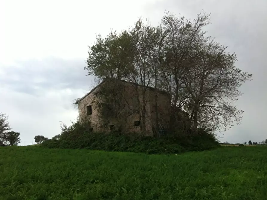 Immagine 6 di Rustico / casale in vendita  a Senigallia