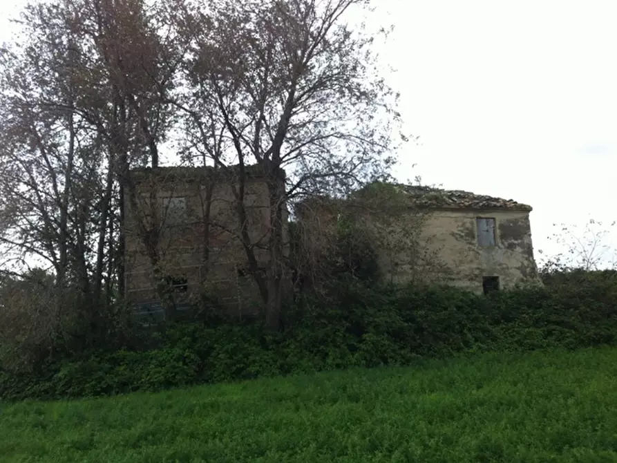 Immagine 7 di Rustico / casale in vendita  a Senigallia