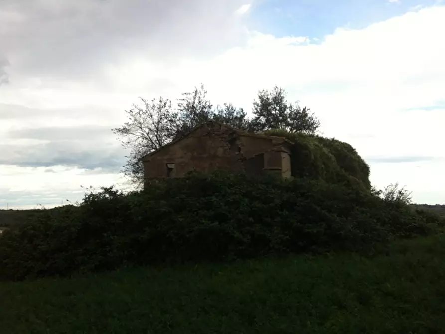 Immagine 11 di Rustico / casale in vendita  a Senigallia