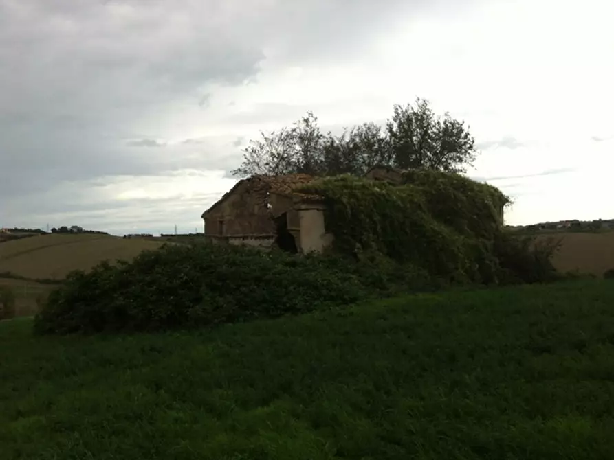 Immagine 12 di Rustico / casale in vendita  a Senigallia