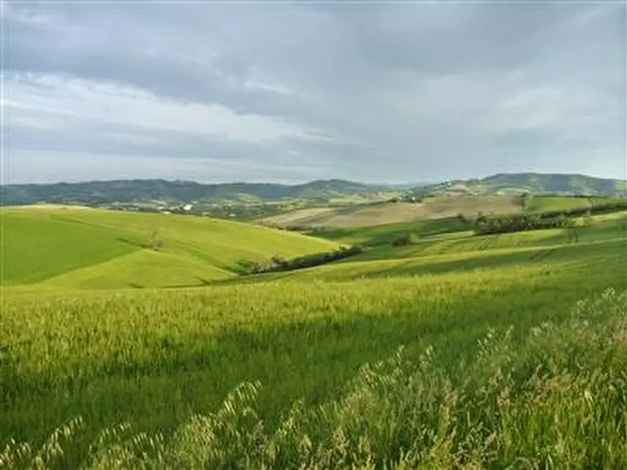 Immagine 4 di Rustico / casale in vendita  in Via Villa Parigi a Montegridolfo
