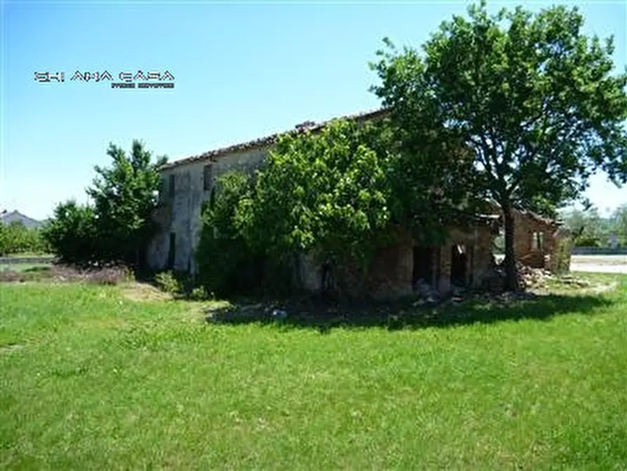 Immagine 4 di Rustico / casale in vendita  in Via Villa Parigi a Montegridolfo
