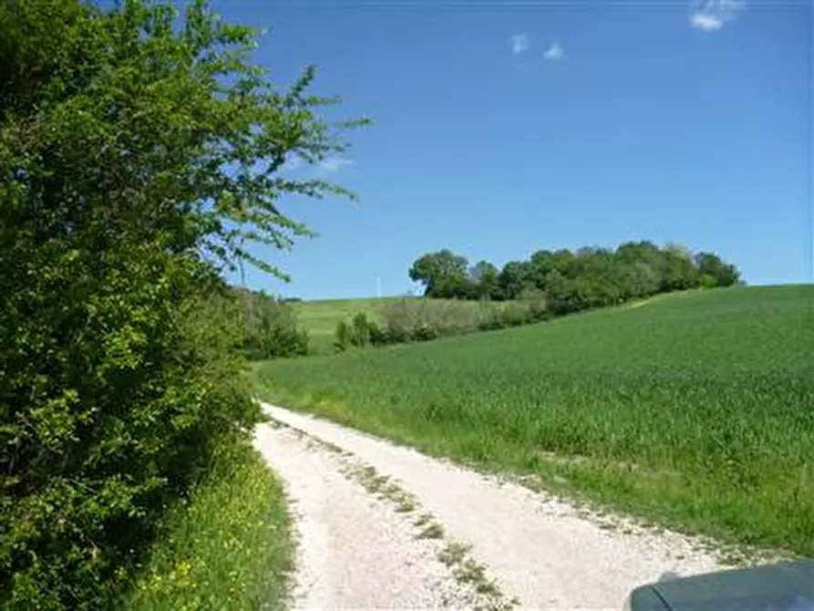 Immagine 11 di Rustico / casale in vendita  in Strada Provinciale 70 a Sassocorvaro Auditore
