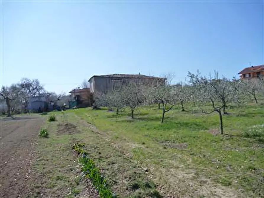 Immagine 2 di Rustico / casale in vendita  in Via Cà Giorgino a Montegridolfo